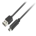 CABLE XTECH USB TYPE C MALE TO USB 2.0A MALE 6FT XTC 510 XTC-510
